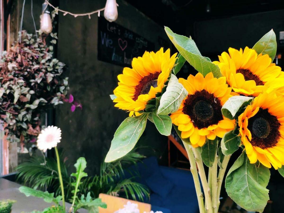 Znap'S Hostel & Cafe Chiang Mai Extérieur photo